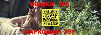 индика Будённовск