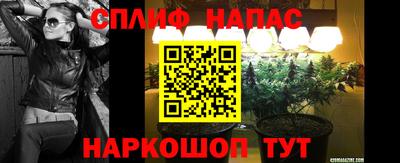 индика Будённовск