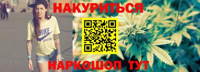индика Будённовск