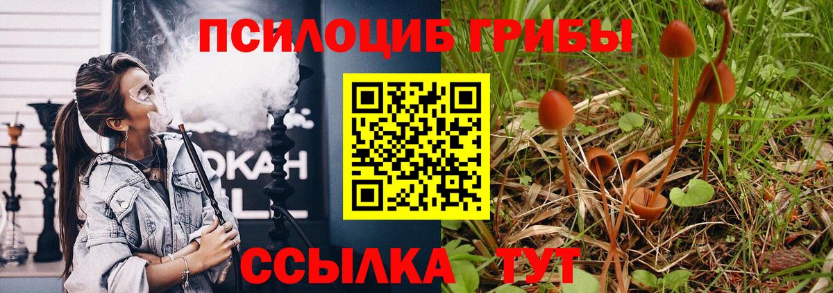 Псилоцибиновые грибы Psilocybe  Вход с VPN  Сосновоборск  Галлюциногенные грибы ЛСД 