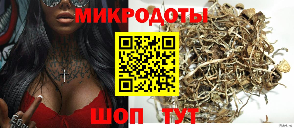 Псилоцибиновые грибы Psilocybine cubensis Сосновоборск